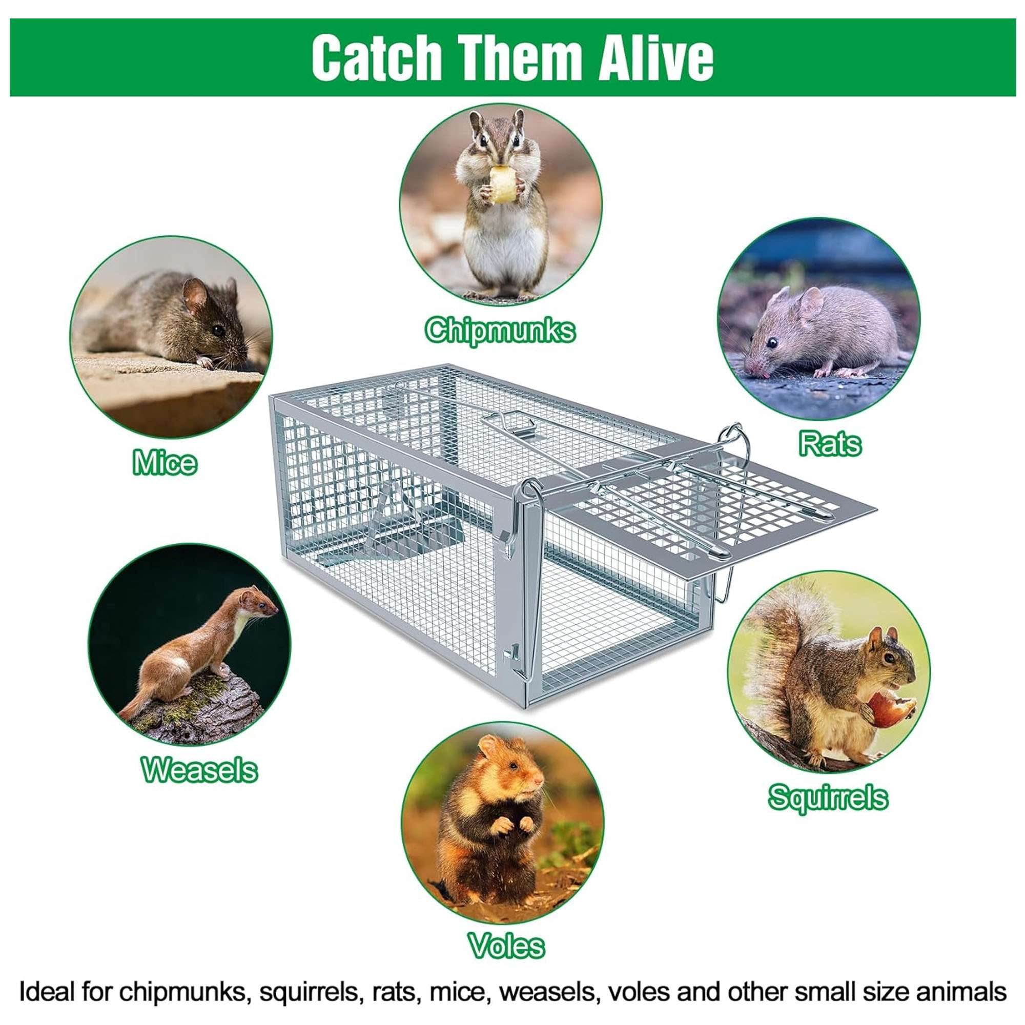 Deago 2 Pack Humane Rat Trap Mouse Traps Cage for Indoor or Outdoor, Small Rodent Chipmunk Squirrel Trap Live Animal Cage Catch and Release
