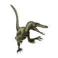 thumbnail image 2 of Velociraptor  white background Poster Print, 2 of 2
