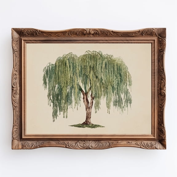 Weeping Willow Wall Art Print, Minimalist Botanical Nature Decor