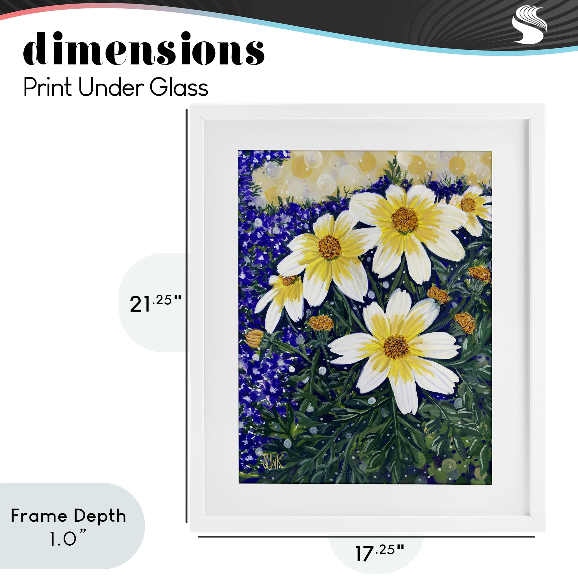 Stupell Industries Summer Garden Cosmos White Framed Print Under Glass, design by Sarah Waldron Kimball