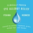 thumbnail image 5 of Opcon-A Eye Allergy Relief Drops for Dry Itchy Red Eye Relief with Antihistamine, 0.5 fl oz, 5 of 7