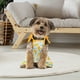 thumbnail image 5 of Conjunto de 4 piezas de ropa para mascotas, ropa encantadora para mascotas, ropa encantadora para perros con frutas y camisa para perros, camiseta transpirable para mascotas MFZFUKR BST3023394-3, 5 of 5