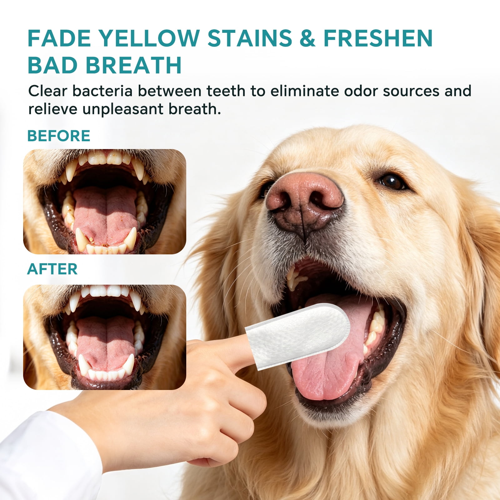 100PCS Pet Teeth Cleaning Finger Wipes for Dogs & Cats, Daily Oral Care Dental Wipes Helps Reduce Plaque Tartar & Freshens Breath, Dog Toothbrush Alternative for Puppies, Kittens & All Breeds, 2 Box