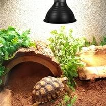 Hytrove Heat Lamp Dome Shade Reptile Tank Heater Insulation Lamp for Bearded Dragon and Bird Cage Reflector