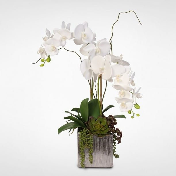 Jenny Silks Real Touch White Phalaenopsis Orchids With Succulents In Silver Ceramic Pot Walmart Com Walmart Com