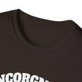 thumbnail image 3 of Incorgnito - Funny Welsh Corgi Owner Dog Lover Novelty Art, 3 of 4
