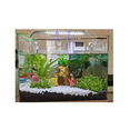 thumbnail image 2 of 19 Pcs Plantas Artificiales Decorativas Acuario Pecera Malubero Multicolor, 2 of 5