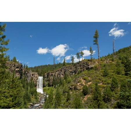 Wall Unites Tumalo Falls, a 97-foot waterfall on Tumalo Creek, in the Cascade Range west of Bend, Oregon, Unite Print Wall Art By Martin Child ()