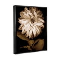 thumbnail image 3 of Stupell Modern White Chrysanthemum Petals Botanical & Floral Photography Black Floater Framed Art Print Wall Art, 3 of 6