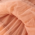 thumbnail image 6 of CUZIBR Toddler Girls Tutu Dresses Long Sleeve Round Neck Patchwork Elegant Dress Holiday Party Dance Dailywear Clothes,Orange,2-3 Years, 6 of 6