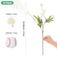 thumbnail image 3 of Uxcell 12 Paquete de Flores de Bola de Crisantemo Artificial de 20.08 pulgadas 5 cabezas Ramo de Crisantemo de Seda Blanco, 3 of 6