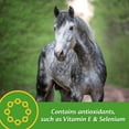 thumbnail image 4 of Farnam Vita Plus Balanced Multi-Vitamin & Mineral Supplement 3.75 Pounds, 30 Day Supply, 4 of 8