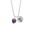 thumbnail image 2 of Delight Jewelry Silvertone Purple Grapes Silvertone Script Initial Disc - G - Charm Necklace, 20"+3", 2 of 4