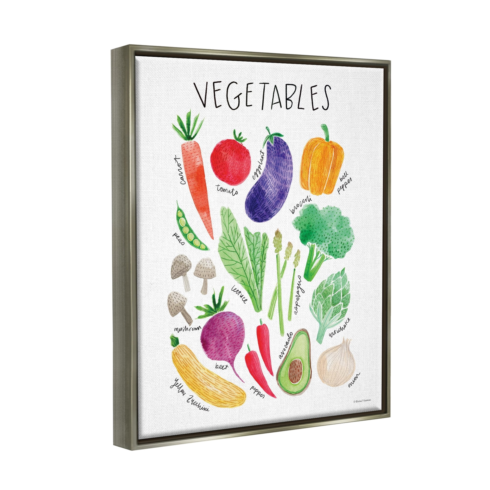 Stupell Industries Varied Vegetables Plants Labeled Diagram Kitchen Sign Graphic Art Luster Gray Floating Framed Canvas Print Wall Art, Design by Rachel Nieman