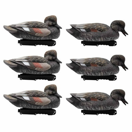 Final Approach Live Gadwall Floater Duck Decoys - 6 Pack
