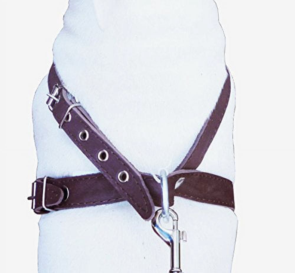 High Quality Brown Leather Dog Harness Medium. 21"-25" Chest, 1" Wide Straps