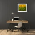 thumbnail image 3 of Fitzharris, Tim 31x26 White Modern Wood Framed Museum Art Print Titled - Sunflowers I, 3 of 4