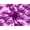 Fuchsia, variant on Minerva Deadstock Chantilly Tulle Lace Fabric Orange - per yard