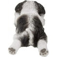 thumbnail image 4 of Hi-Line Cadeau Statue de Chiot Shih Tzu Dormant, 4 of 5
