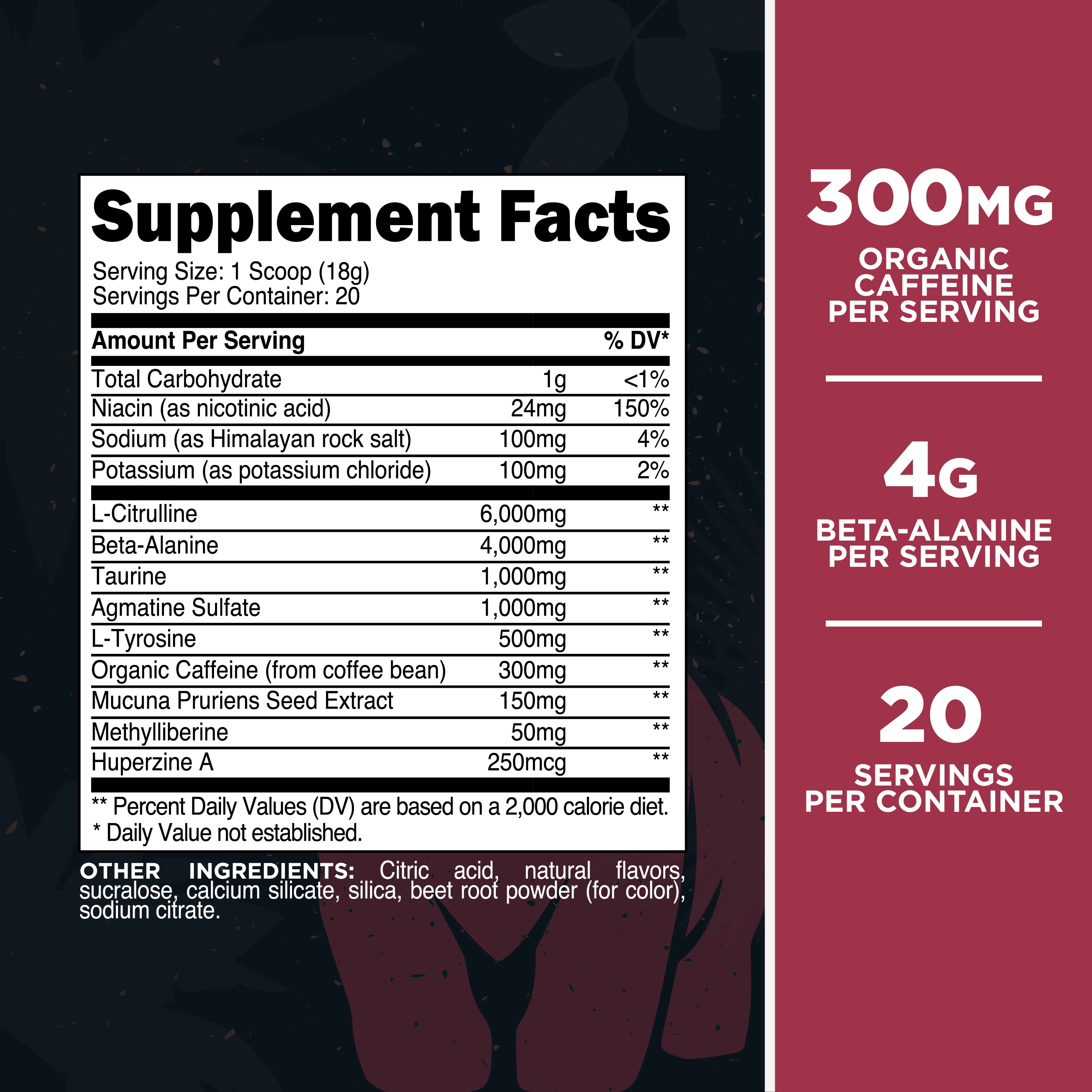 Primal Purge Xtreme Pre-Workout (Raspberry Lemonade Flavor) (20 servings) - Gluten-Free + Non-GMO