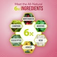 thumbnail image 3 of KaLaya Pain Relief 6x Pain Relief Cream, Muscle Pain Relief Cream, 4.2 oz, 3 of 10
