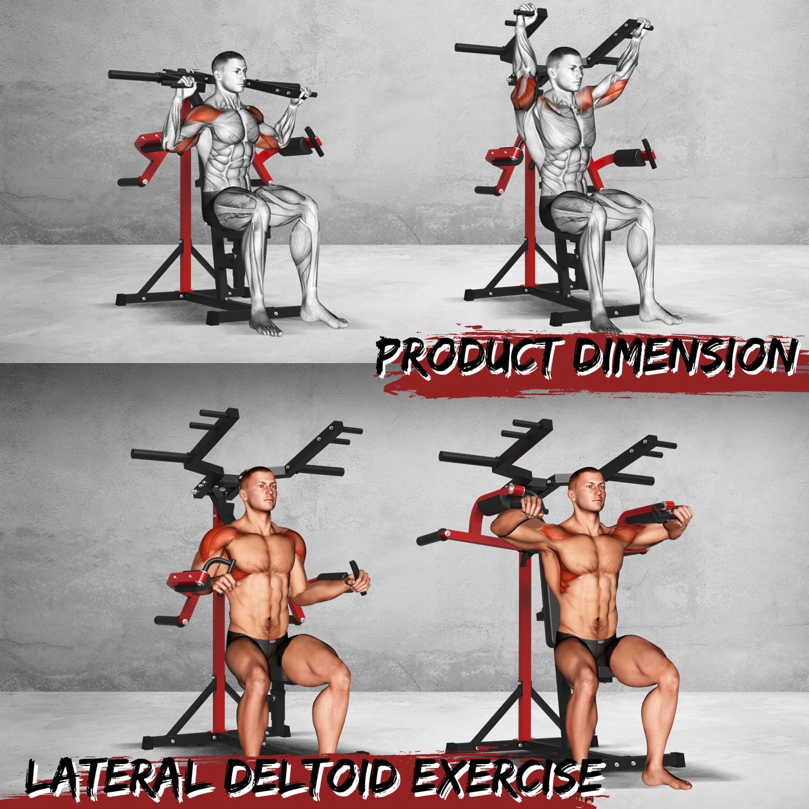 Syedee Plate Loaded Deltoid and Shoulder Press Machine with Adjustable Seat and Backrest, 800 Weight Capacity Upper Body Machine for Shoulder Muscle