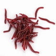 thumbnail image 4 of 4cm Fishing Lure Soft Insects Fake Earthworms Sea Bait Bloodworms Artificial Bait 50pcs, 4 of 4