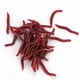 thumbnail image 4 of 4cm Fishing Lure Soft Insects Fake Earthworms Sea Bait Bloodworms Artificial Bait 50pcs, 4 of 4