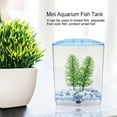 thumbnail image 3 of Fish Breeder Box For Aquarium,  Breeder Box Fish Breeding Box Transparent Water Plants Hatching Incubator Acrylic Breeder Isolation Divider For Baby Fish Shrimp Betta Guppy, 3 of 7