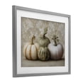 thumbnail image 2 of Stupell Industries Victorian Pastel Gourds on Vintage Pattern Gray Framed Print Under Glass, 16 x 13, by Arlington Prints, 2 of 8