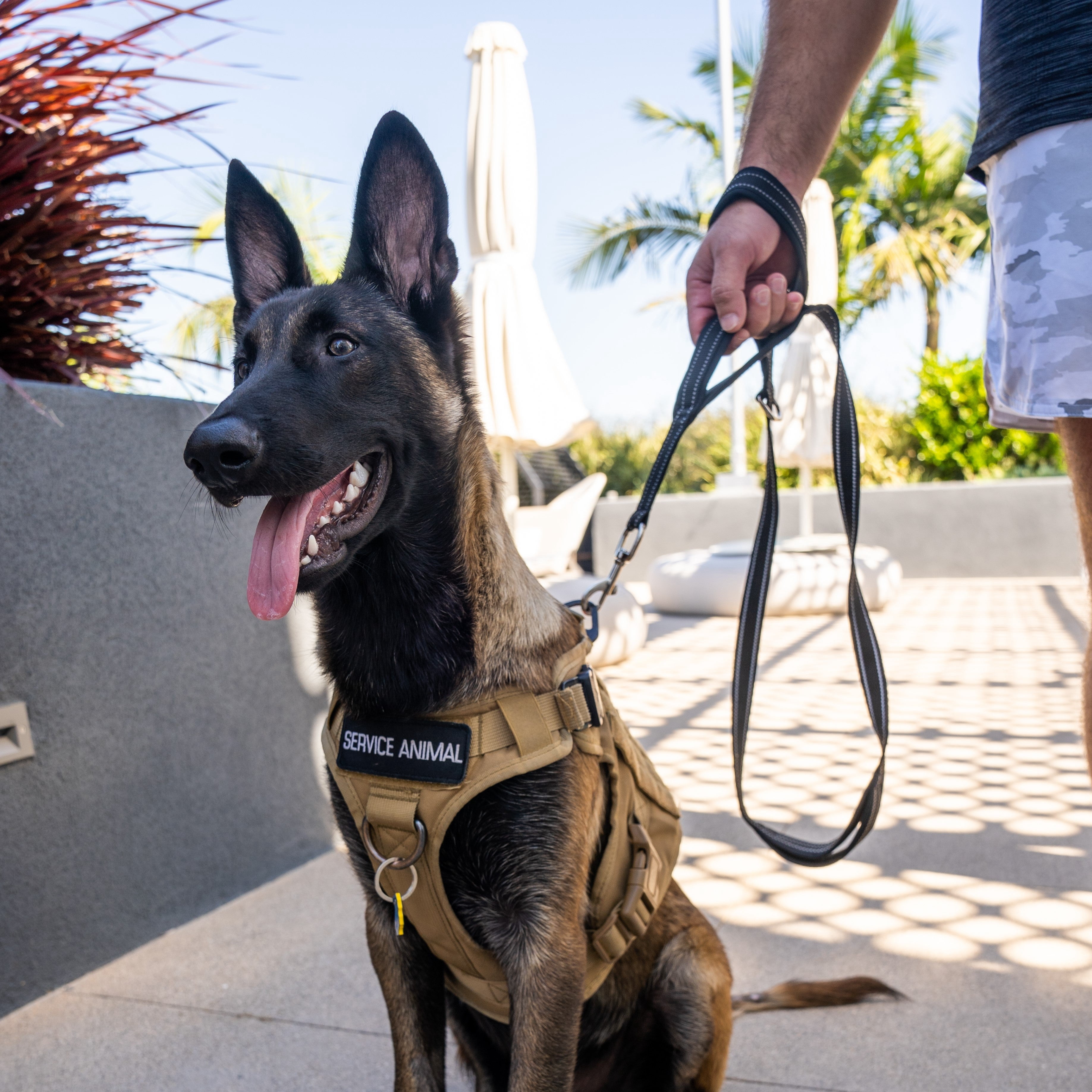 Shed Defender 5 ft. Leash - Three Padded Handles - Dual Layered Thickness for Extra Strength - Reflective Stitching 5 ft. for Large & Small Dogs - Training Lead