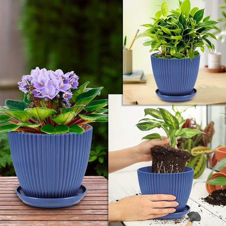 hallucinogenic plants Hallucinogenic Plants guide main image 1
