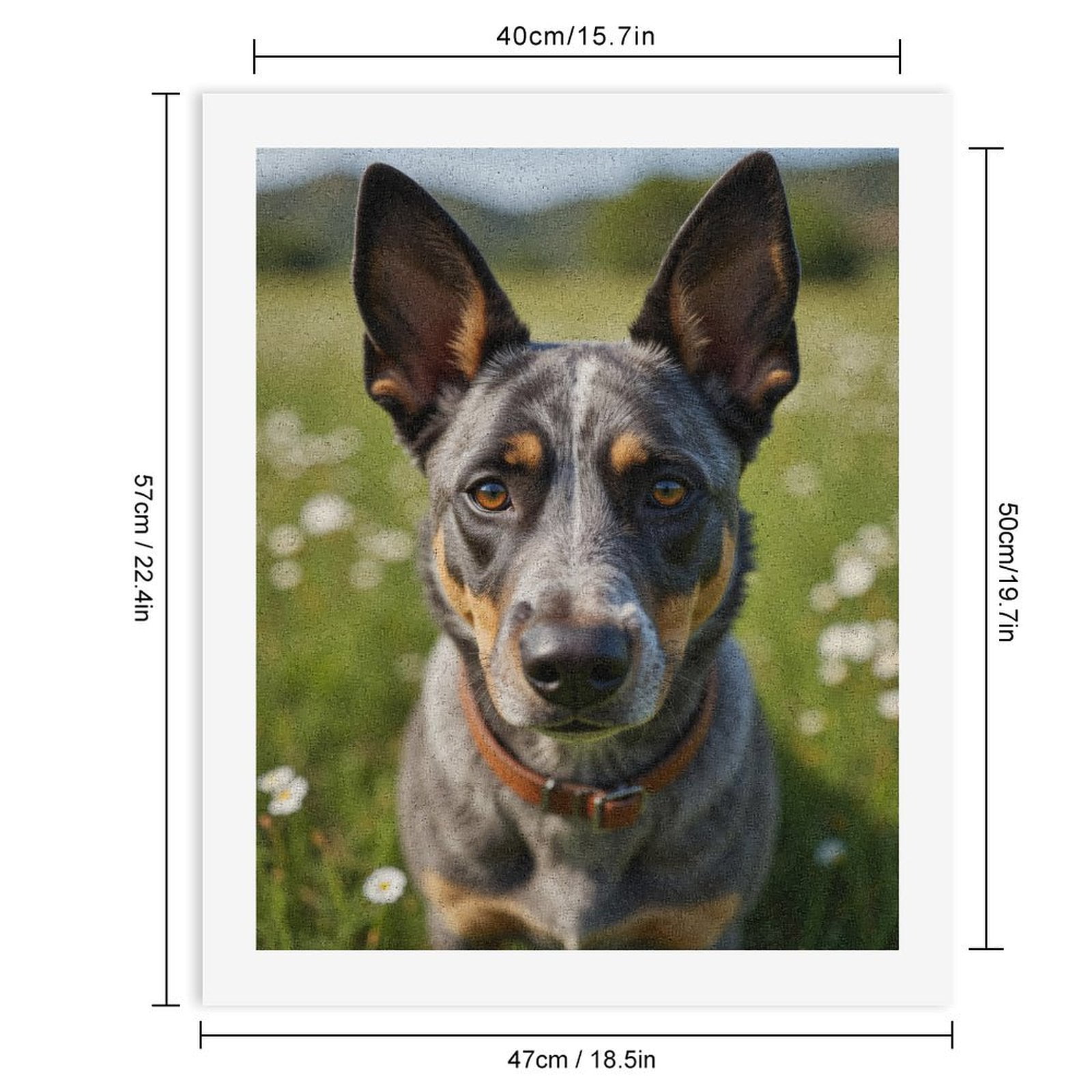 Paint By Numbers Kit for Adults Beginner - DIY Dog Field Flowers Calm Day Canvas Painting Kits for Adults, Frameless Paint By Number for Adults for Home Wall Decor 16x20 Inch