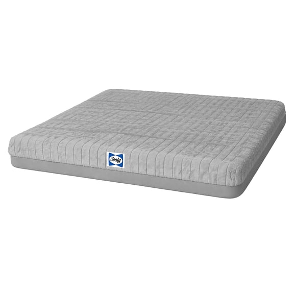 Sealy®  Memory Foam Crate Mat, Small