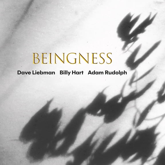Dave Liebman - Beingness - Music & Performance - CD