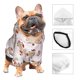 thumbnail image 3 of Balery Dachshund Dog Puppy Sudadera con Capucha para Perros Pequeños – Ropa para Mascotas, Disfraz para Perros y Gatos, Ideal para Fiestas y Cosplay-Small, 3 of 7