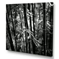 thumbnail image 2 of Designart "Monochromatic Forest Of Bamboo I" Bamboo Wall Art Prints, 2 of 7