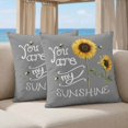 thumbnail image 5 of Pillow Covers 18x18 Set of 2, Sunflowers Square Throw Pillow Covers for Couch/Sofa/Living Room, Modern Bee You Are My Sunshine Grey Decorative Soft Pillowcases for Couch Throw Pillows, 5 of 9