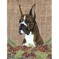 thumbnail image 1 of Carolines Treasures SS4097GF 11 x 15 Po Boxer Drapeau-Jardin Taille, 1 of 3