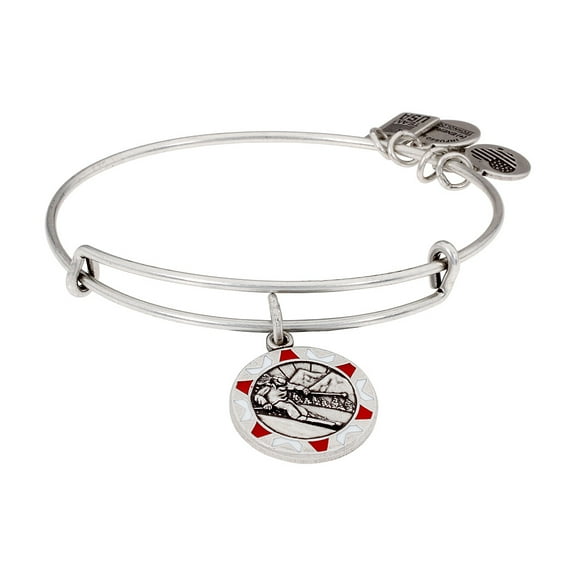 Alex And Ani Team USA Skiing Charm Rafaelian Silver Bangle Bracelet AS17US08RS