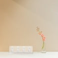 thumbnail image 3 of YSNOOWE 1Pcs Clear Display Case for Dolls with Dust Proof and Storage Functions for Collectors at Home, 3 of 8