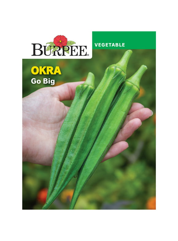 Burpee Go Big Okra Vegetable Seed, 1-Pack