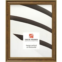 Craig Frames Stratton, 17x22 inch Picture Frame, Aged Bronze