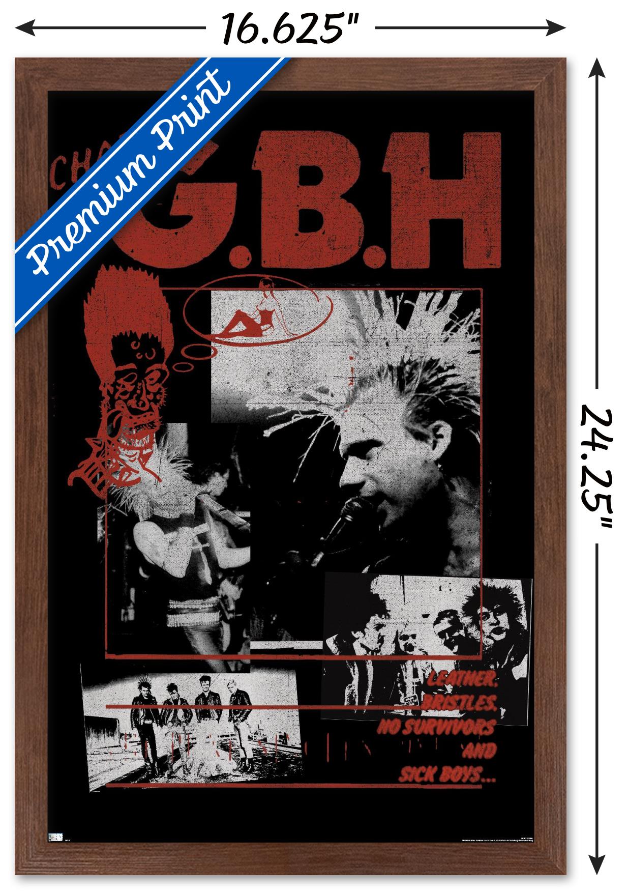 GBH - Montage Wall Poster, 14.725" x 22.375", Framed