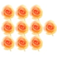 thumbnail image 2 of 10 cabezas de flores de rosas Cabezas de rosas artificiales para la decoración de en hogar champán, 2 of 9