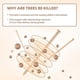 thumbnail image 3 of 25Pcs Copper Nails, 3.14 Inch Long Pure Copper Nails Bulk with Drill Bit, Remove Stake Nails Hardware Nails for Trees, 3 of 5