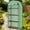 Green#00, variant on Portable Greenhouses, Lean-to Greenhouse Portable Greenhouseb, Green Mini Greenhouses,Hdpe Small Greenhouses, Garden & Outdoor Garden Supplies Greenhouses Lean-to Greenhouse Portable Greenhouseb