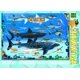 thumbnail image 4 of Rompecabezas EuroGraphics Sharks 100 piezas, 4 of 4
