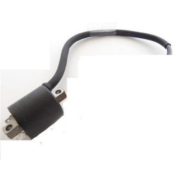Ignition Coils For Suzuki