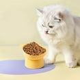 thumbnail image 4 of Cinvoph Elevated Cat Bowl Non Tipping Shallow 4" Wide Feeding Bowl Non-Slip Weighted Base for Adult Cats Decorative Pet Dish Easy to Clean, Yellow, 4 of 6